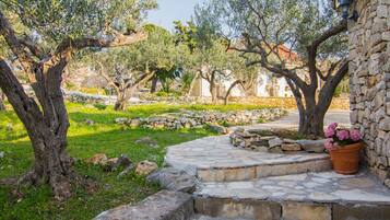 Jardines del alojamiento