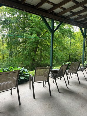 Un espace extérieur abrité, doté de chaises et d’un sol en béton, et entouré d’une végétation luxuriante.