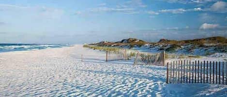 Nära stranden