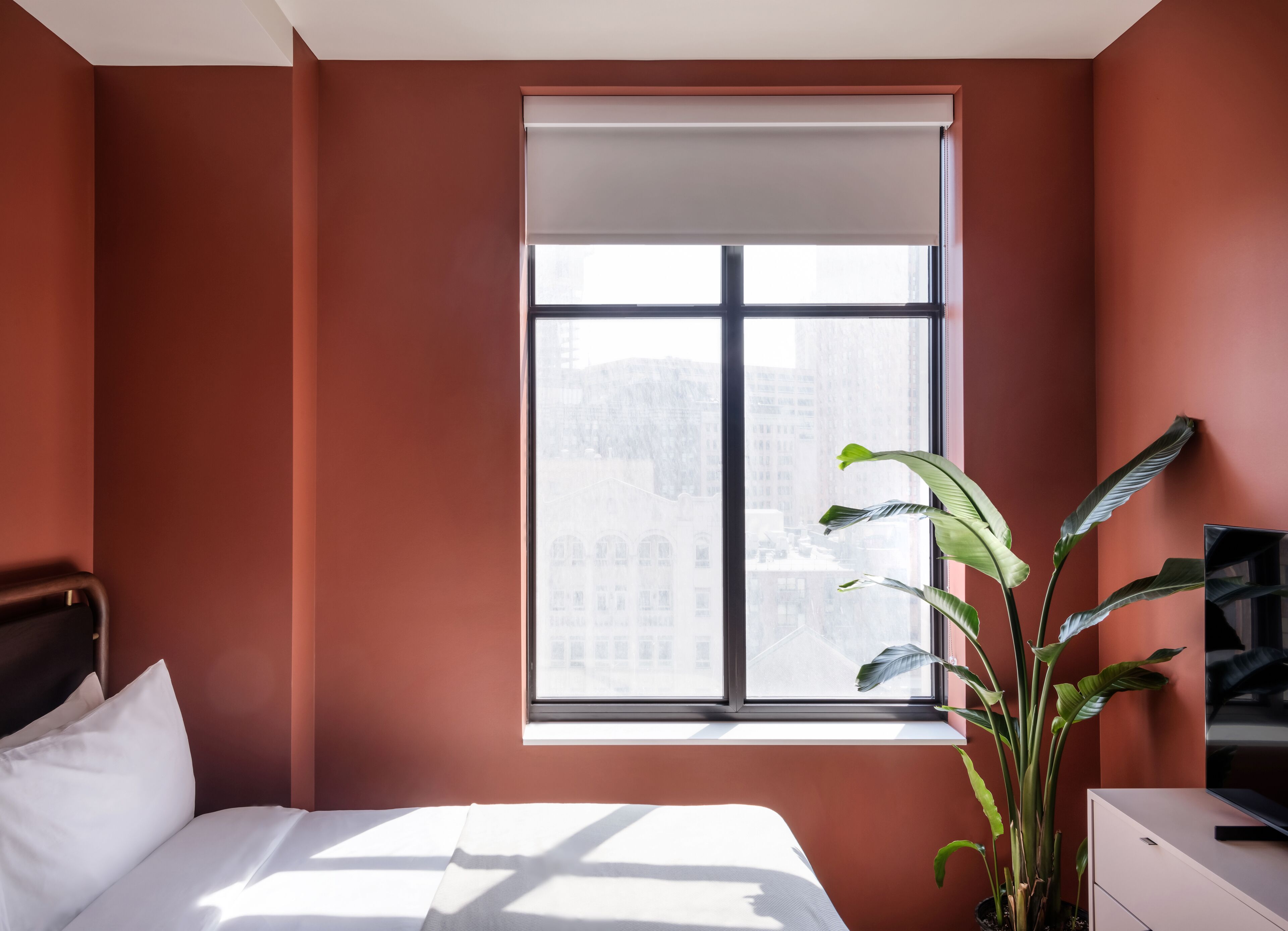A bedroom with a large window, a bed, a bedside table, a plant, and a TV.