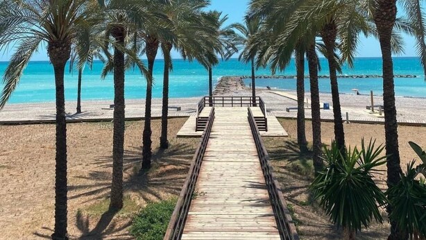 Un camí de fusta que condueix a una platja, amb palmeres a ambdós costats.