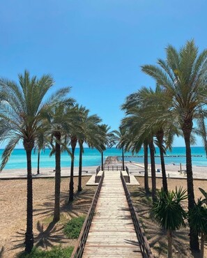 Une promenade en bois mène à une plage bordée de palmiers de chaque côté.