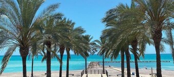 Mooi Appartement aan het Strand