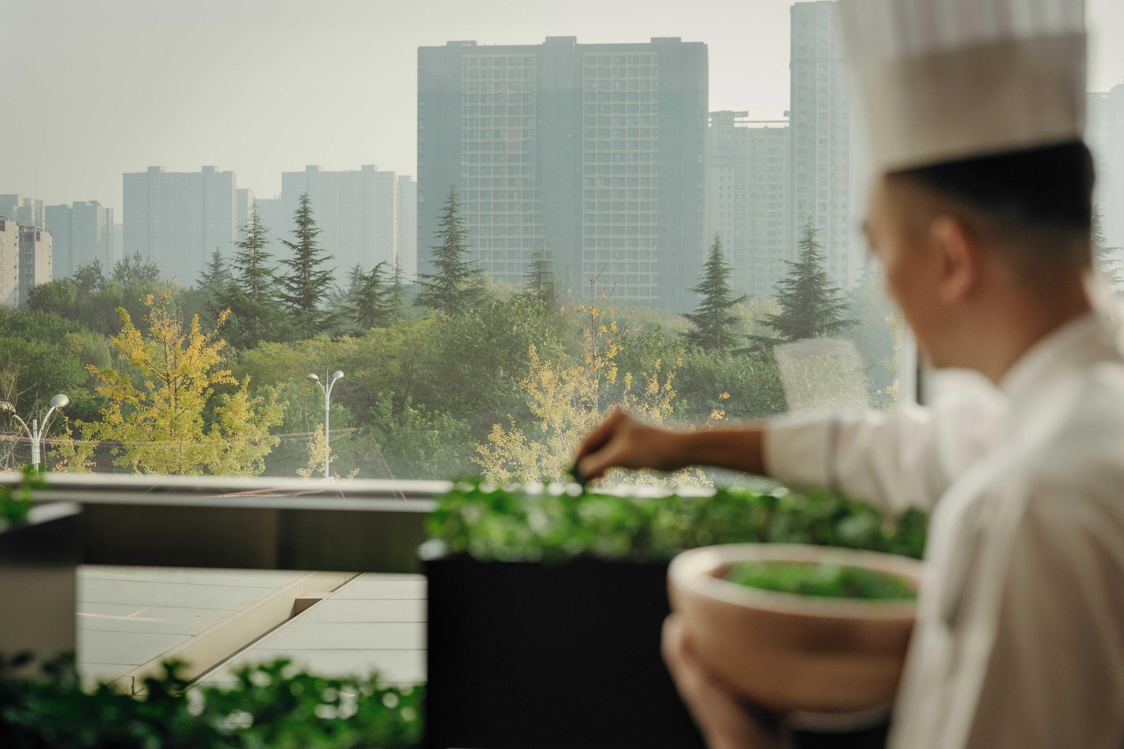 A person tending to plants on a balcony with a cityscape view.
