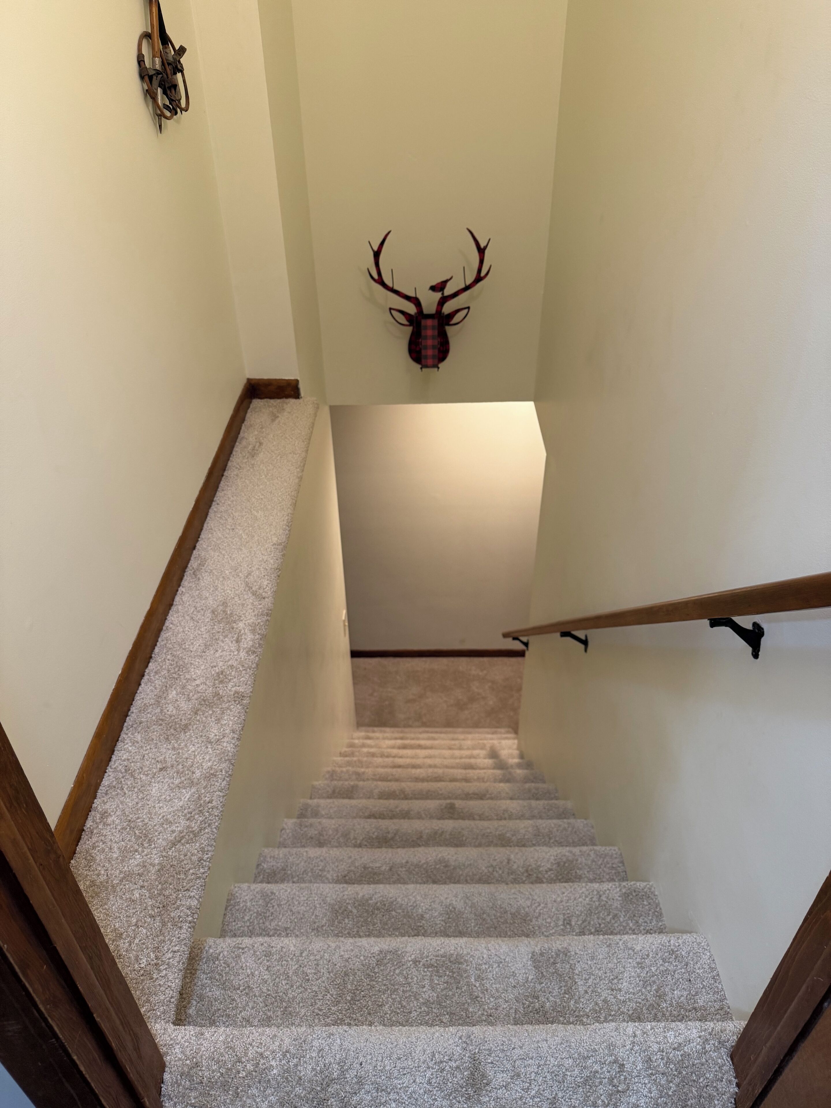 Una escalera alfombrada con barandillas de madera y una cabeza de venado montada en la pared.