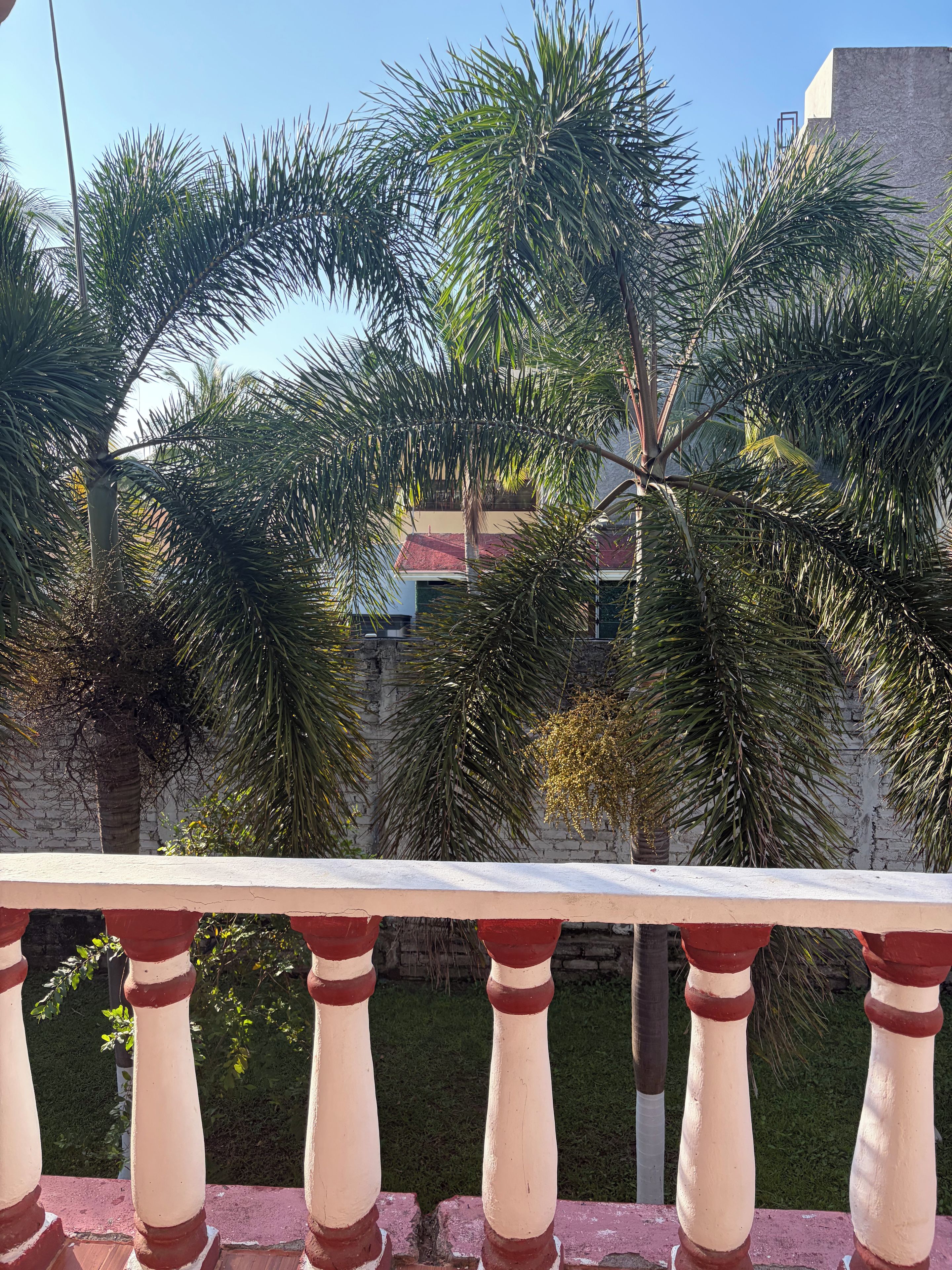 A balcony with a railing, palm trees, and a building with a red roof in the background.