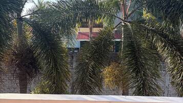 A balcony with a railing, palm trees, and a building with a red roof in the background.