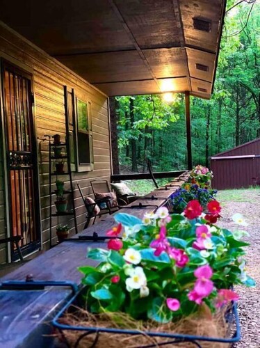 Cozy Cabin Surrounded by Beautiful Woods