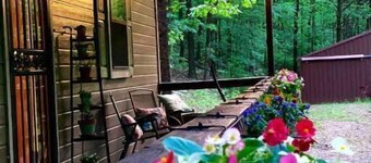 Cozy Cabin Surrounded by Beautiful Woods