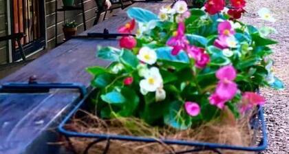 Cozy Cabin Surrounded by Beautiful Woods