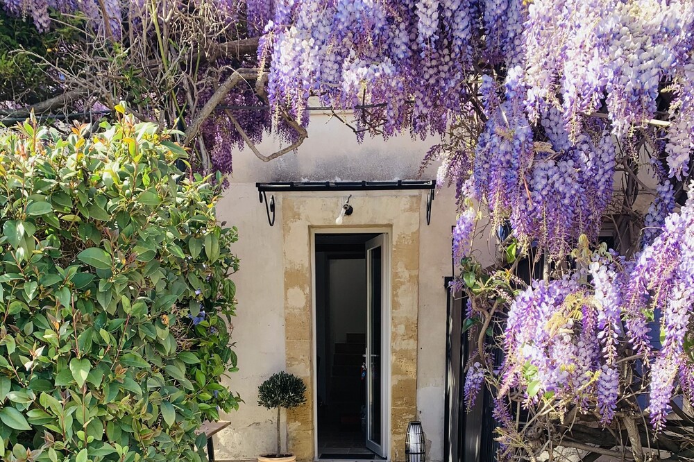 The wisteria farmhouse