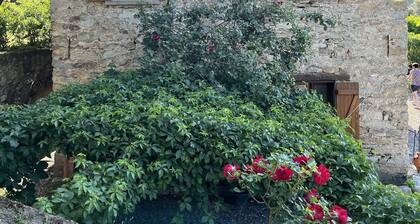 Maison Authentique , Entre Maquis et Plage de Sable Blanc