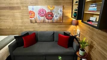 Smart TV, fireplace, books