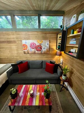 Smart TV, fireplace, books