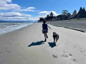 Vlak bij het strand