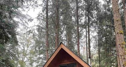 Wind Down Log Cabin in the Woods with Cozy Woodstove