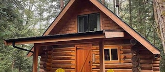 Wind Down Log Cabin in the Woods with Cozy Woodstove