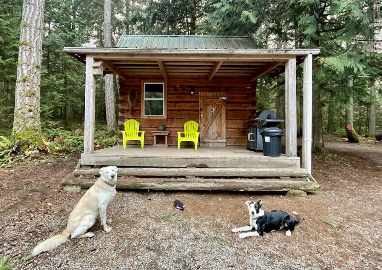 The Broad Axed Rustic Log Cabin in the Woods
