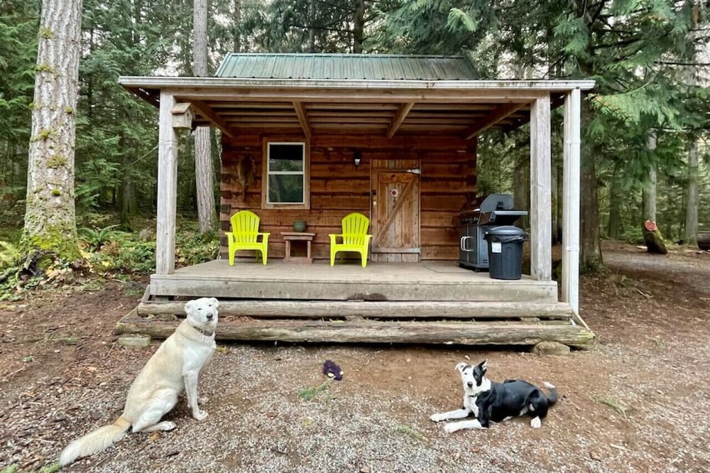 The Broad Axed Rustic Log Cabin in the Woods