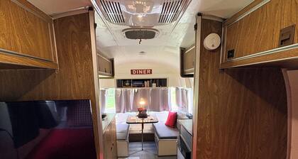 Peaceful Airstream Fast WiFi Low Pet Fee FirePit Star Gazing Convenient