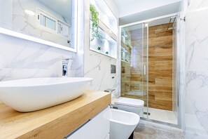 Shower, hair dryer, bidet, towels