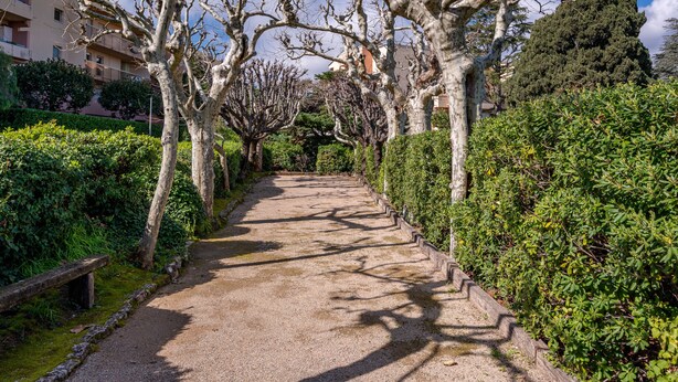 A gravel pathway flanked by leafless trees and dense shrubbery, leading towards a residential area with buildings in the background. - LA BADINE Appartement AirCo Pool for 4 By Sunset (Antibes)