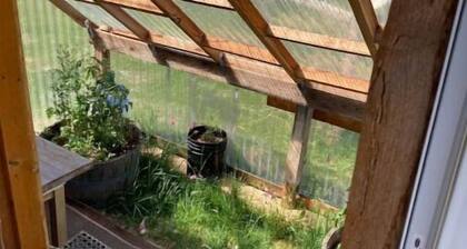 Tiny mountain house with country views