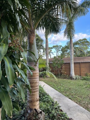 Área da propriedade