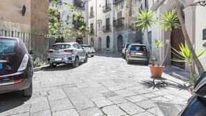 Une rue étroite bordée de voitures garées et de plantes en pot.