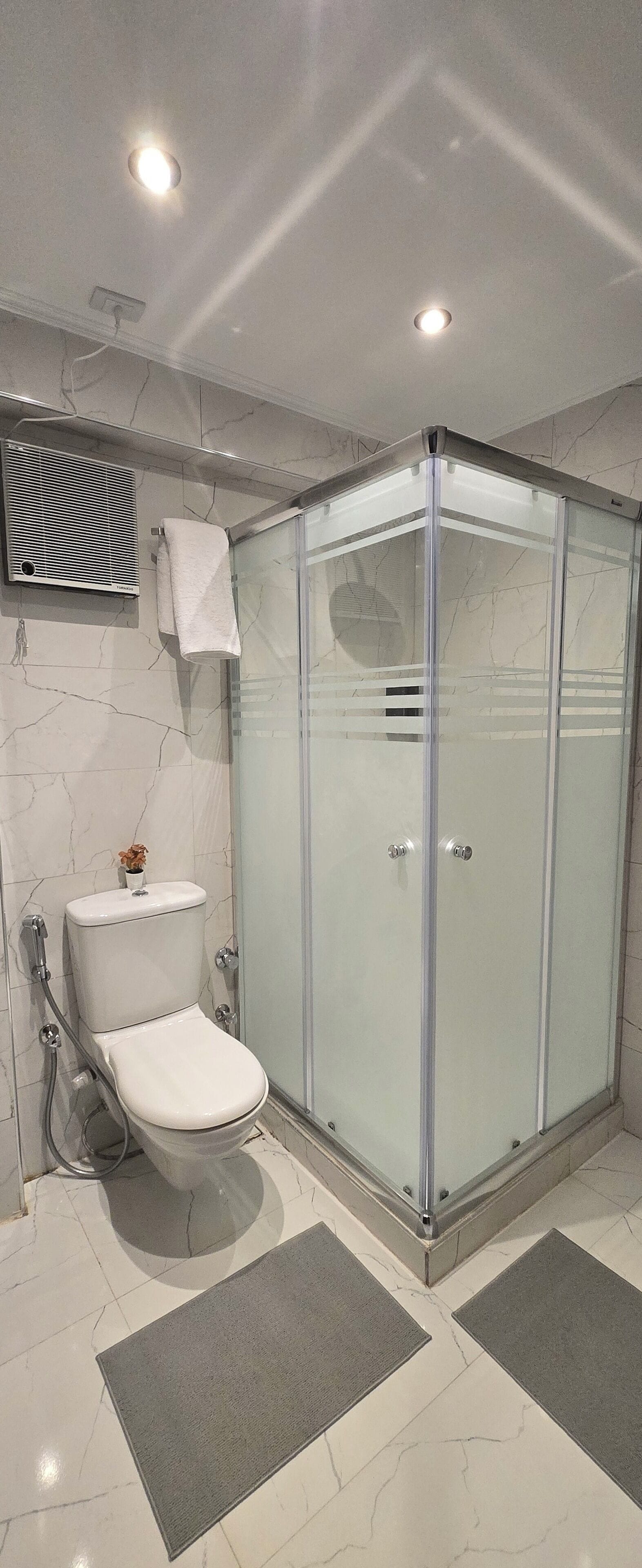 Un baño con ducha de vidrio, inodoro y toallero.