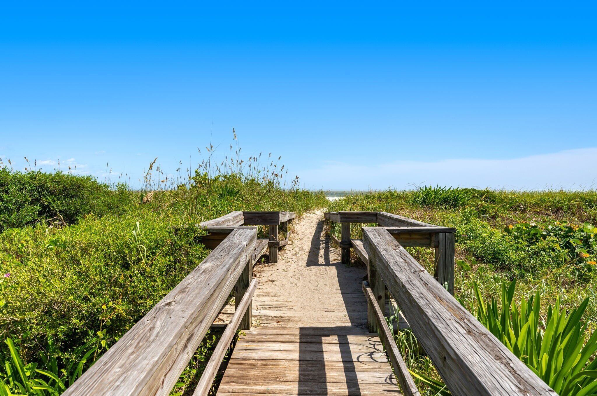 A wooden boardwalk leading through a grassy area with dense vegetation on both sides.