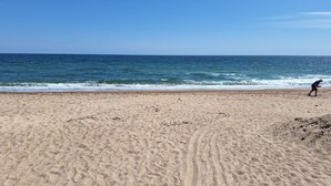 Une plage de sable où l’on peut voir des empreintes menant à l’eau.