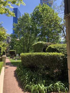 Stroll through the serene urban park, lined with lush greenery and mature trees, leading to a well-maintained hedge.