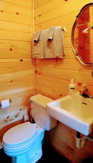 Dusche, Handtücher, Seife, Toilettenpapier