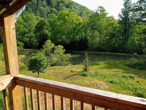 Property grounds - Pondside Cabin (Newland)