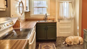 A kitchen with wooden cabinets, a stove, a sink, and a dog lying on the floor.