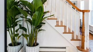 A staircase with wooden railings and a white wall. There are two large potted plants on the floor.