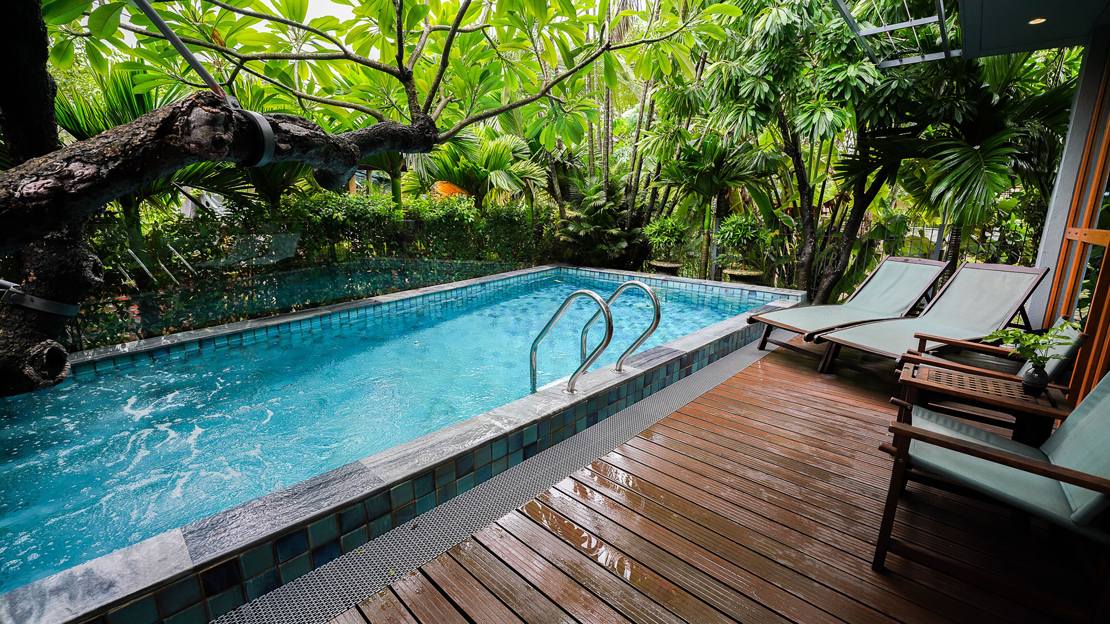 A swimming pool with a wooden deck and lounge chairs, surrounded by lush greenery.