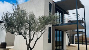 Un edificio moderno de dos plantas con diseño minimalista, destacando un gran árbol en primer plano y un cielo azul despejado al fondo.