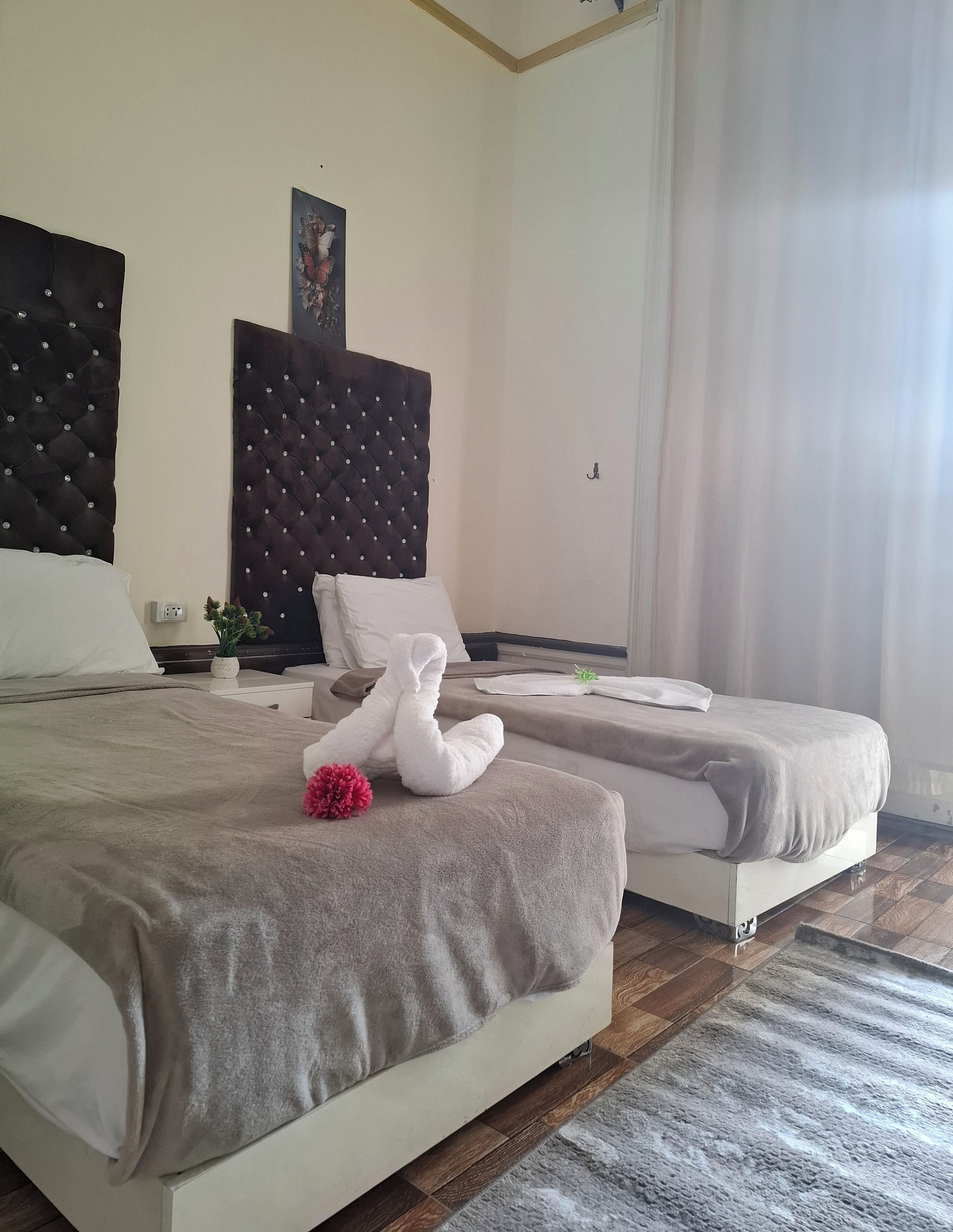 Foto - New palace court