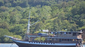 Un bote con cubierta de madera y mástil metálico, amarrado cerca de una orilla boscosa.