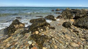 Eine felsige Küstenlinie mit klarem Wasser und fernen Bergen.