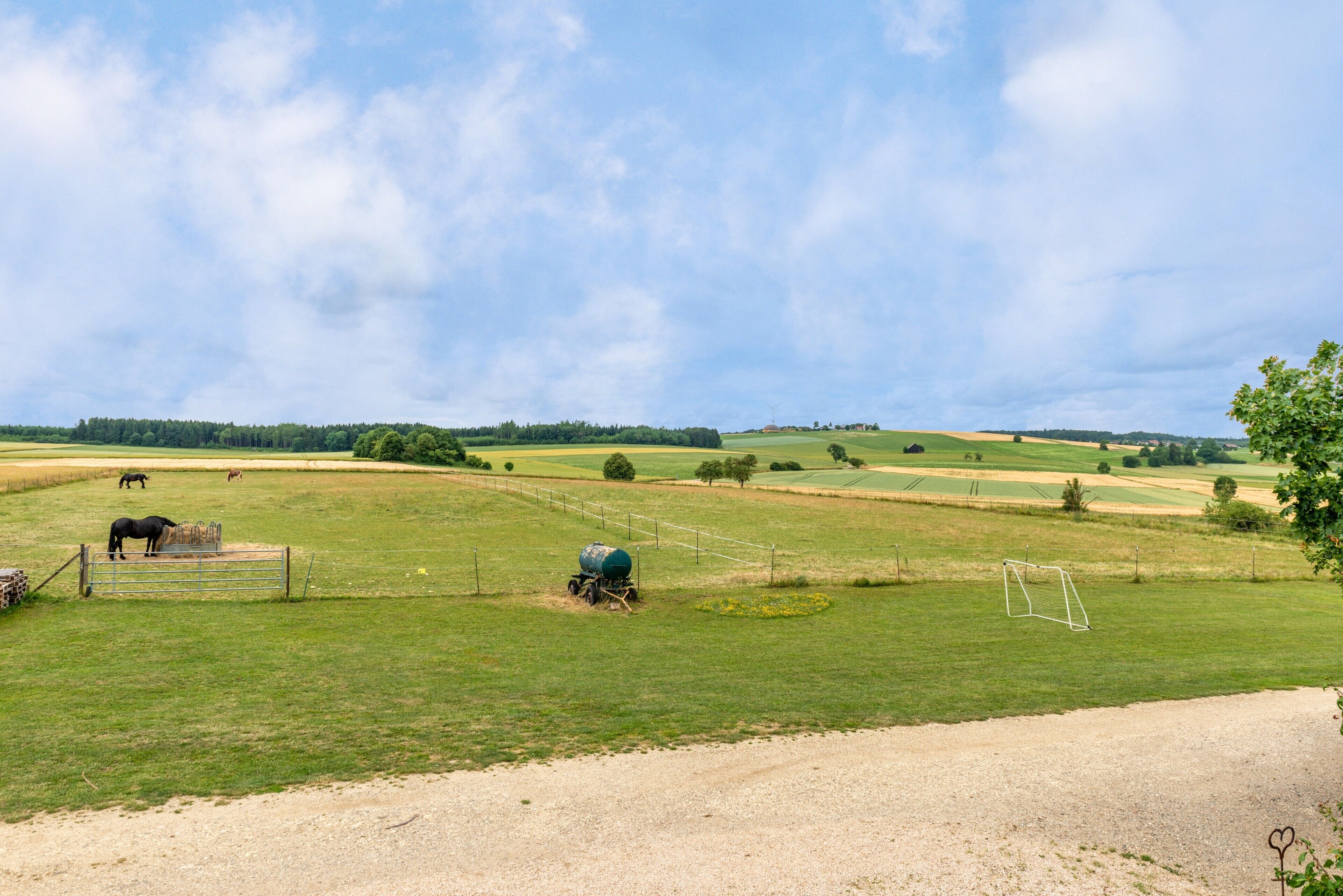 A rural landscape with fields, a fence, and a horse.