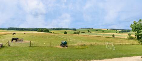 A rural landscape with fields, a fence, and a horse.