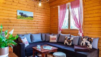 TV, fireplace, DVD player, stereo