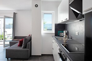 Fridge, oven, stovetop, dishwasher - Maier Apartment with Private Terrace and Wi-Fi (Bodman-Ludwigshafen)