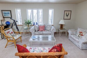 Älytelevisio, takka, videopelejä, kirjoja