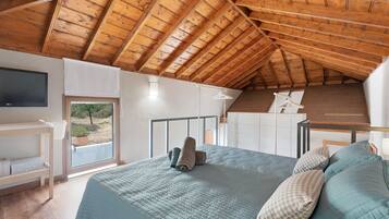 2 多间卧室、熨斗/熨衣板、免费 WiFi