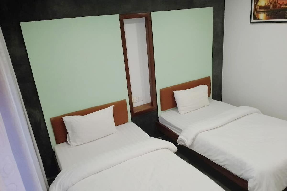 Habitación Deluxe con 2 camas individuales | Wifi gratis