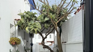 Terrace/patio - Apartment's independent Golum (Mairena del Aljarafe)